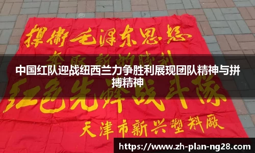 NG28官方网站