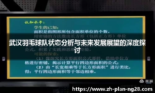 武汉羽毛球队状态分析与未来发展展望的深度探讨