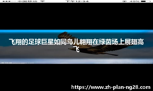 NG28官方网站